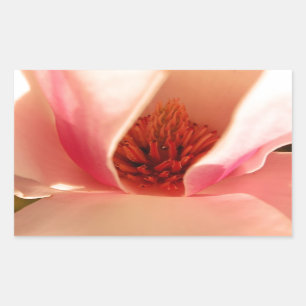 Tulpenbaum Rechteckiger Aufkleber