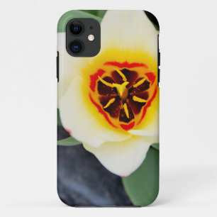 Tulpenblume Case-Mate iPhone Hülle