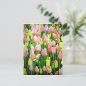 TulpenBlume Postkarte (Stehend Vorderseite)