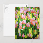 TulpenBlume Postkarte (Vorne/Hinten)