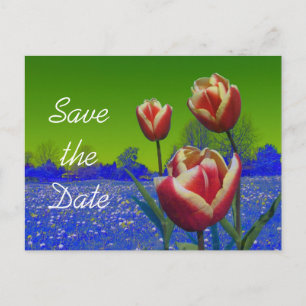 TulpenBlume Save the Date Ankündigungspostkarte