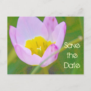 Tulpenblume Save-the-Date leere Karte
