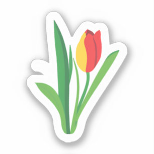 Tulpenblume   Süße Blüte Aufkleber