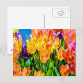 Tulpenblumen - Blühen Postkarte (Vorne/Hinten)