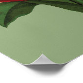 Tulpenblumen Poster (Ecke)
