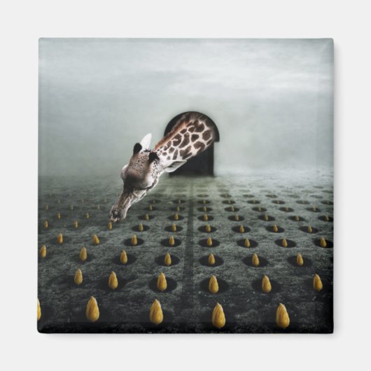 Tulpendieb 2013 magnet (Vorne)