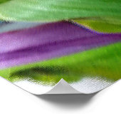 Tulpenfarben Poster (Ecke)