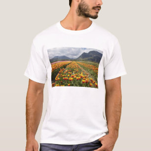 Tulpenfarm in der Nähe von Agassiz, British Columb T-Shirt