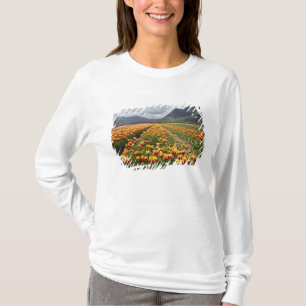 Tulpenfarm in der Nähe von Agassiz, British Columb T-Shirt