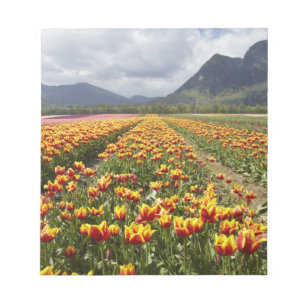 Tulpenfarm nahe Agassiz, British Columbia, Notizblock
