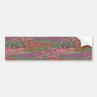 Tulpenfeld Autoaufkleber