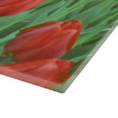 Tulpenfeld blüht im Frühling. Schneidebrett (Ecke)