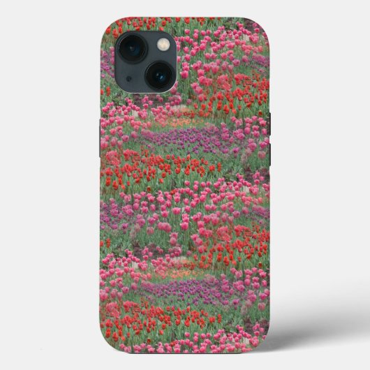Tulpenfeld Case-Mate iPhone Hülle (Rückseite)