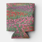 Tulpenfeld Dosenkühler (Vorderseite)