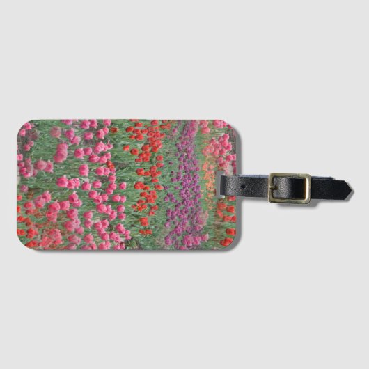 Tulpenfeld Gepäckanhänger (Vorderseite (Horizontal))