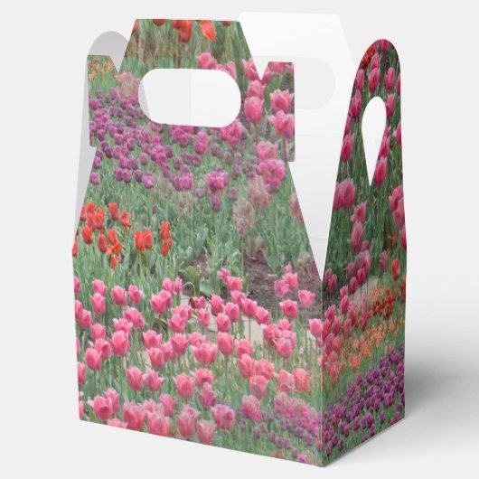 Tulpenfeld Geschenkschachtel (Geöffnet)