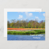 Tulpenfeld in den Niederlanden Postkarte (Vorne/Hinten)