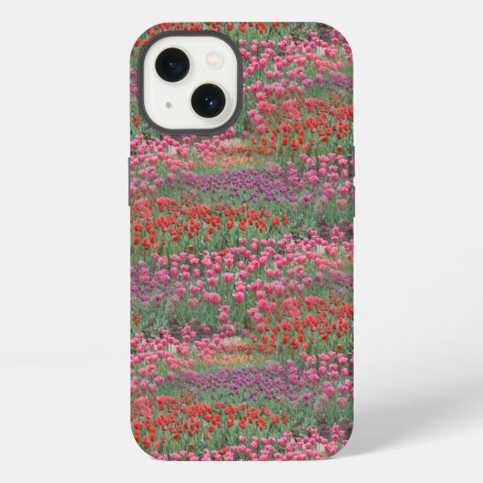 Tulpenfeld iPhone Hülle (Rückseite)