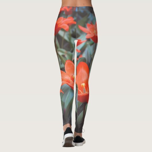 Tulpenfeld Leggings (Rückseite)