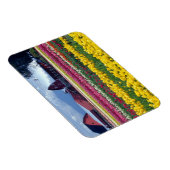 Tulpenfeld Magnet (Rechte Seite)