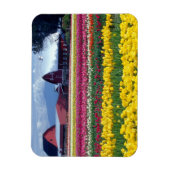 Tulpenfeld Magnet (Vertikal)