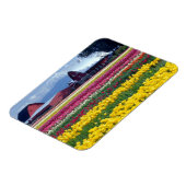 Tulpenfeld Magnet (Linke Seite)