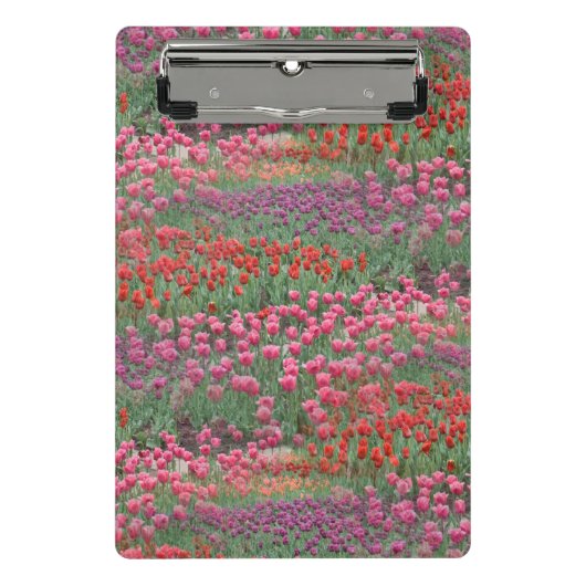 Tulpenfeld Mini Klemmbrett (Vorderseite)