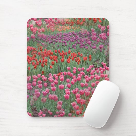 Tulpenfeld Mousepad (Mit Mouse)