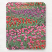 Tulpenfeld Mousepad (Vorne)