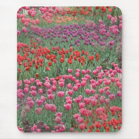 Tulpenfeld Mousepad (Vorne)