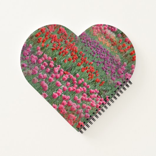 Tulpenfeld Notizblock (Rückseite)