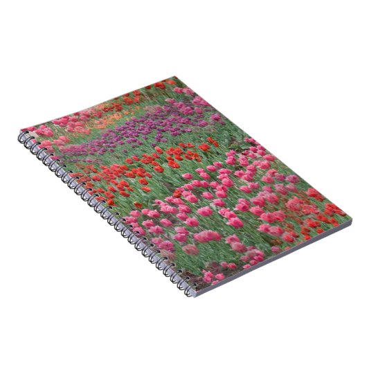 Tulpenfeld Notizblock (Rechte Seite)