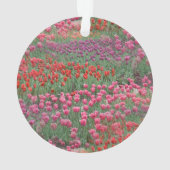 Tulpenfeld Ornament (Rückseite)