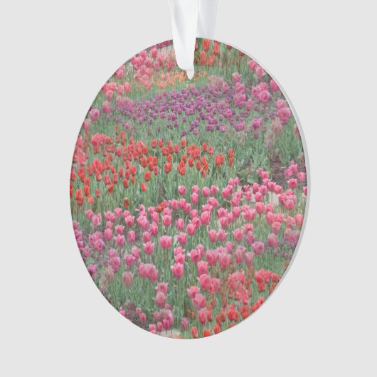 Tulpenfeld Ornament (Vorderseite)