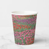 Tulpenfeld Pappbecher (Links)