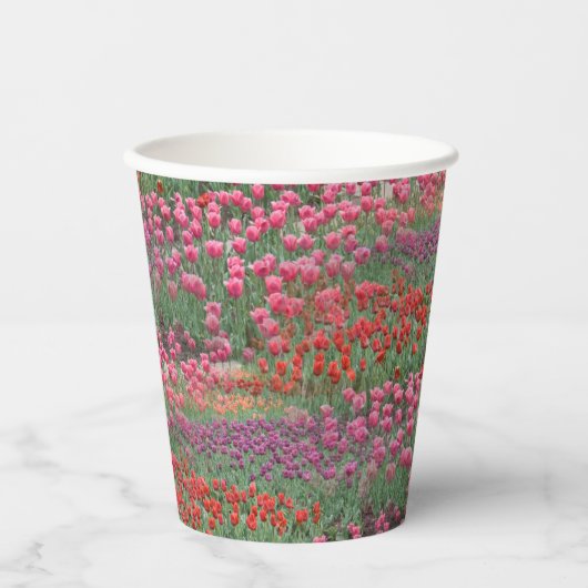 Tulpenfeld Pappbecher (Vorderseite)