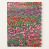 Tulpenfeld Planer (Rückseite)