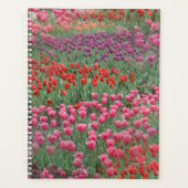 Tulpenfeld Planer (Vorderseite)