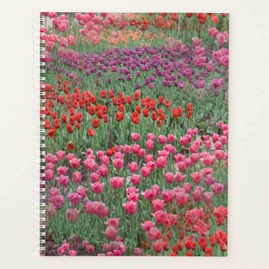 Tulpenfeld Planer (Vorderseite)