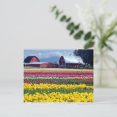 Tulpenfeld Postkarte (Stehend Vorderseite)