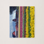 Tulpenfeld Puzzle (Vertikal)