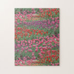 Tulpenfeld Puzzle<br><div class="desc">Zeitlos,  elegant buntes Tulpenfeld. Rosa,  lila,  rot,  in einem grünen Bett.</div>