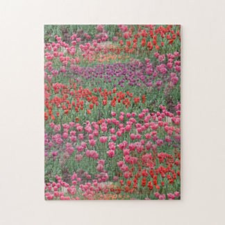 Tulpenfeld Puzzle