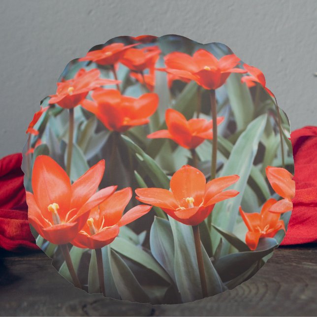 Tulpenfeld Rundes Kissen (Von Creator hochgeladen)