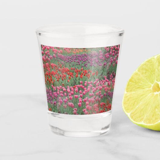 Tulpenfeld Schnapsglas (Vorderseite)