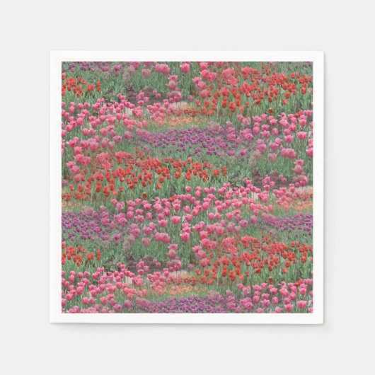 Tulpenfeld Serviette (Vorderseite)