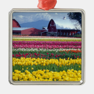 Tulpenfeld Silbernes Ornament