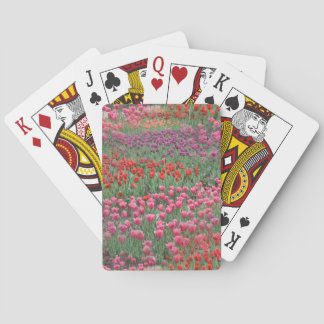 Tulpenfeld Spielkarten