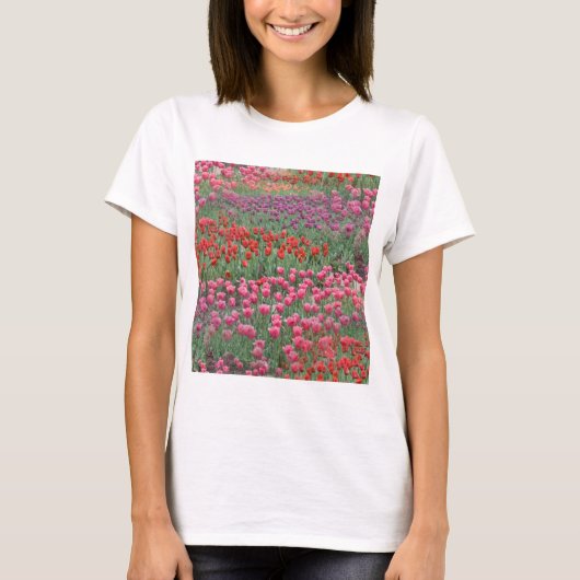 Tulpenfeld T-Shirt (Vorderseite)