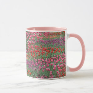 Tulpenfeld Tasse